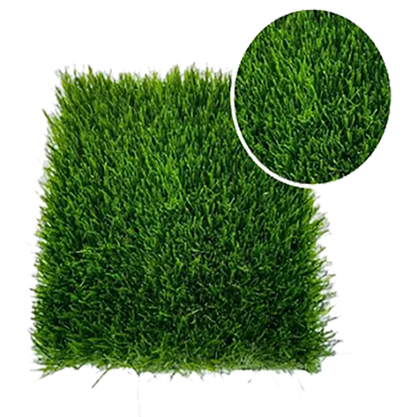 Mega Oferta! Disfruta del 50% de descuento